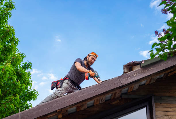 Best Sheet Metal Roofing  in La Crosse, WI